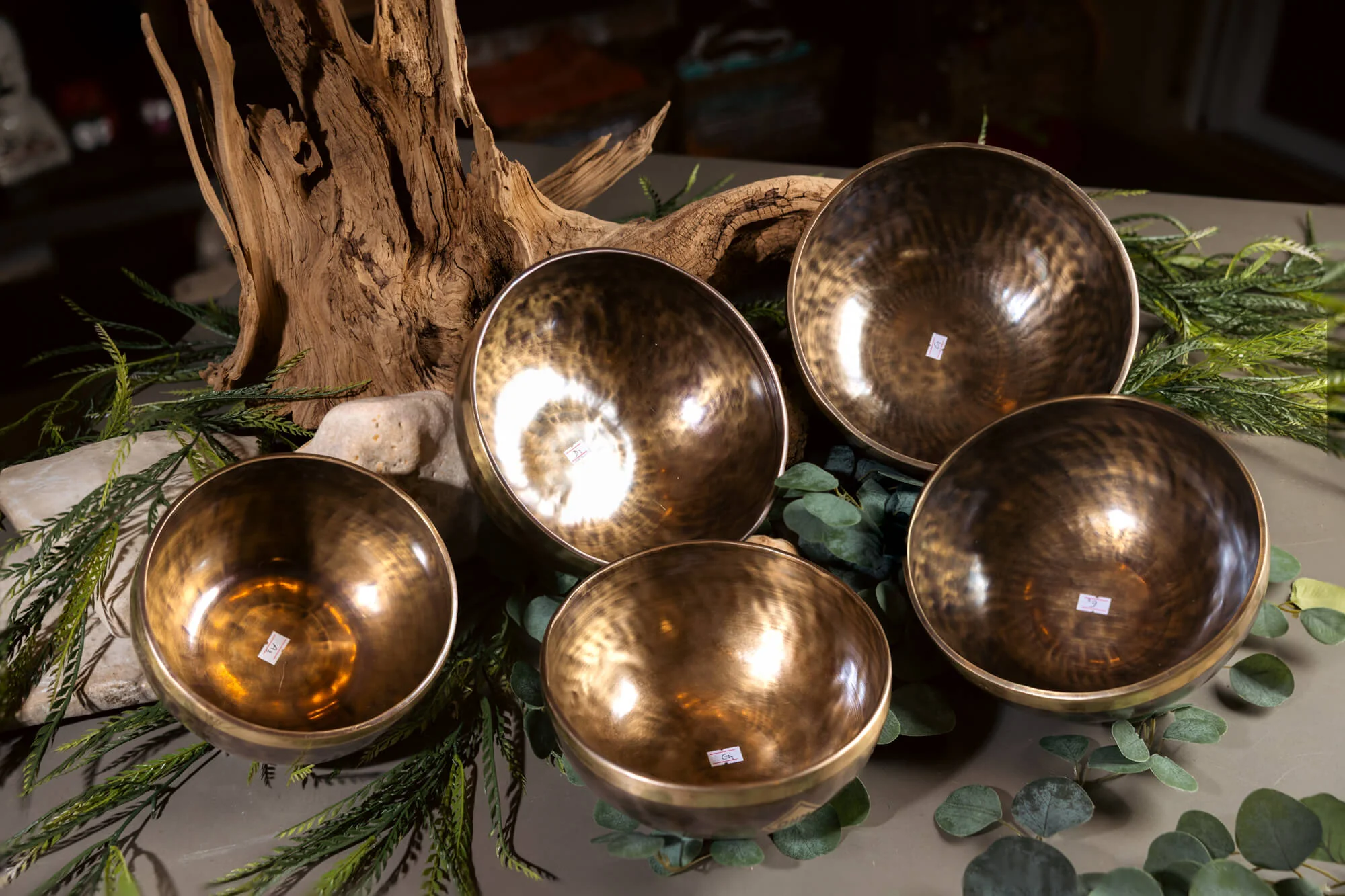A Minor Pentatonic Scale Legacy Collection Bronze Makers Mark Singing Bowls - Image 4