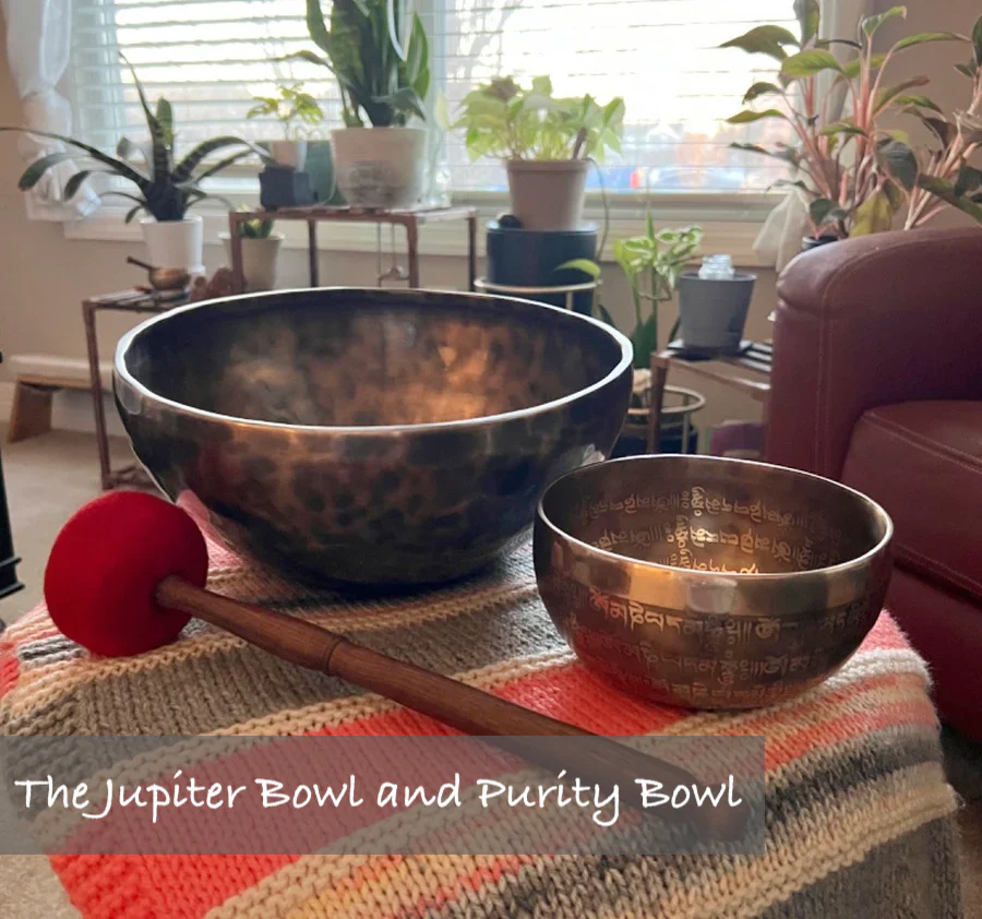 Tibetan Sounds Sanctuary Bundle: Curated Set Of Resonant Singing Bowls and MasterCourse - Image 4